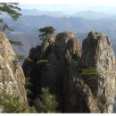 세이브존앞 이미지