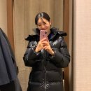 마시모헤어 이미지