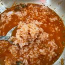 완도회식당 | [속초 가볼만한곳] 오징어 물회 1티어 찐 맛집! 완도회식당 솔직 후기 🌊🦑