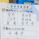 정아칼치 이미지