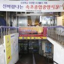 속초종합중앙시장 네이버블로그