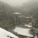 금선사 Daum카페