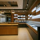 봄 안경원 이미지