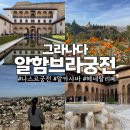 궁전 | 그라나다 여행 필수코스 알함브라궁전 후기, 예약부터 나스르궁전 관람코스까지 총정리