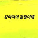 우리집강아지 - 용산구 보광로 9 | 우리집강아지