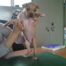 부광주유소 이미지