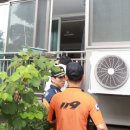 둔산소방서 이미지