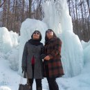 숲속의 둥지 이미지