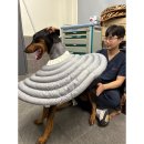 창원메디컬동물병원 네이버블로그