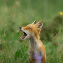 한서한의원 이미지