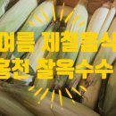 오브제-옥수수 이미지