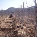 사곡보건지소 이미지