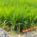 선기농장 이미지