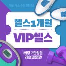 팀비식스 이미지