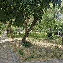 가로수길 이미지