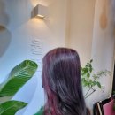 월천Salon