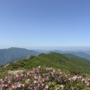 묵계알프스산장 앞 | 가지산 코스 추천 6월 산행지 추천 영남알프스 인증 최단 코스 운문령 주차 및 정상 가지산장