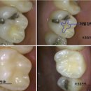 손영진치과의원 이미지