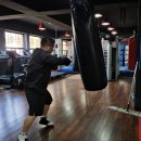 백프로 복싱체육관 이미지