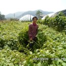 곤지암읍 만선리 360-1 이미지