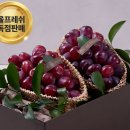 달과일