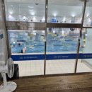 관악구민체육센터 | 일요일 자유수영 가능한 관악구 수영장 &#39;관악구민종합체육센터&#39; 자유수영후기 및 시설리뷰