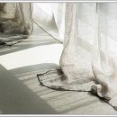 시화골프연습장