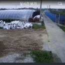 월곡농장 이미지