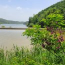 수원팔색길 여우길 이미지