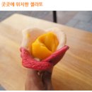 아모리노 이미지