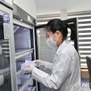 동해시-4 이미지