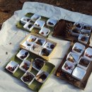 동백유치원 이미지