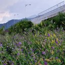 원촌농장 이미지