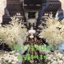 31140-9-27-1 | [W.3 웨딩홀 27년] 강동 KDW 웨딩홀투어 후기 및 견적공유 (계약 O) 베뉴졸업🥳