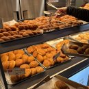 핫도넛 | 야탑역 핫도넛 후기 | 핫브레드 핫도너츠 꽈배기 찹쌀도넛 고로케 hot donut 야탑역빵집