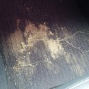 경림농장 이미지