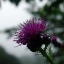 산기마을회관 이미지