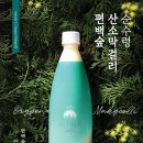 녹수인력 이미지