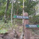 서인충 장군묘소 이미지