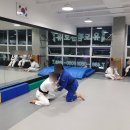 Dream of JuDo 반석유도관 | (대전 지족동)탄탄한 운동 유도전문 체육관 반석유도관