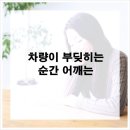 척추가 중심 이미지