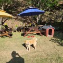 바바벨리 이미지