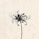 블랙워크 이미지