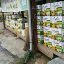 쌍둥이농원 이미지