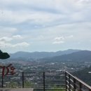 블루몽키 이미지