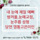 고은미인의원 | 수원눈성형 눈빛하나로 바뀌는 이미지