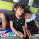 LTA 태인태권도 이미지