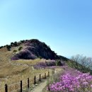 화왕산 이미지