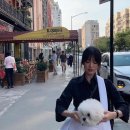 루비애견 이미지