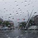 봄비문학관 이미지